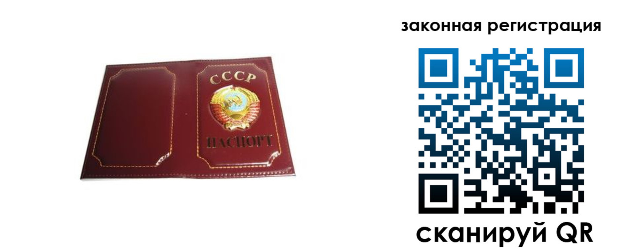 прописка поиск в Владимирской области